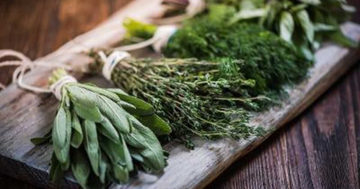 Séchage des herbes fraîches : la méthode express au micro-ondes
