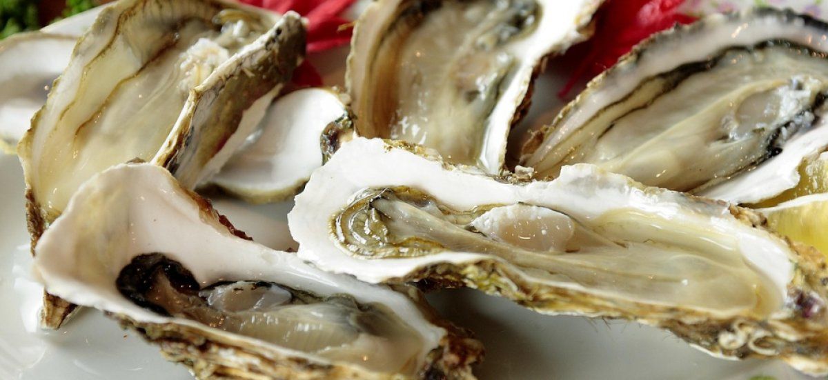 Découverte insolite : un couple du Gers retrouve un ver dans ses huîtres