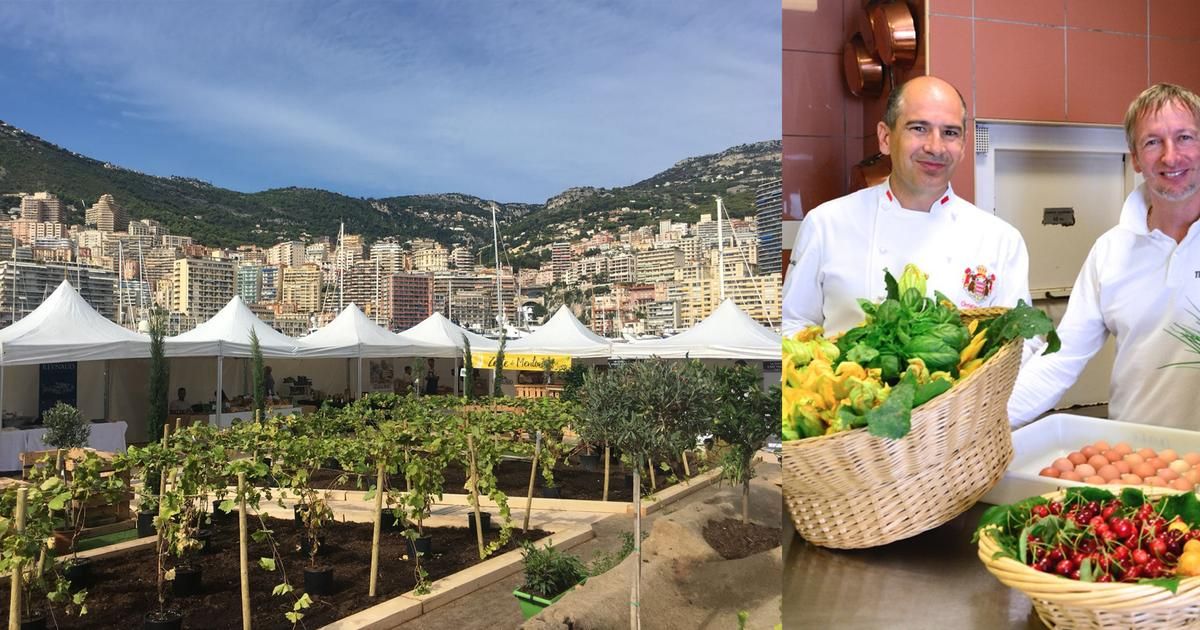 Une expérience gourmande au cœur de la Côte d'Azur