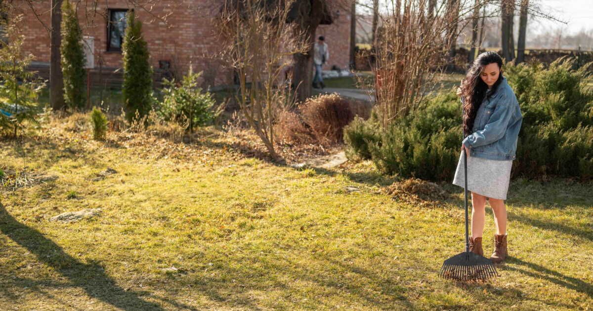 Préparez votre gazon pour le printemps : 5 gestes essentiels à adopter cet hiver