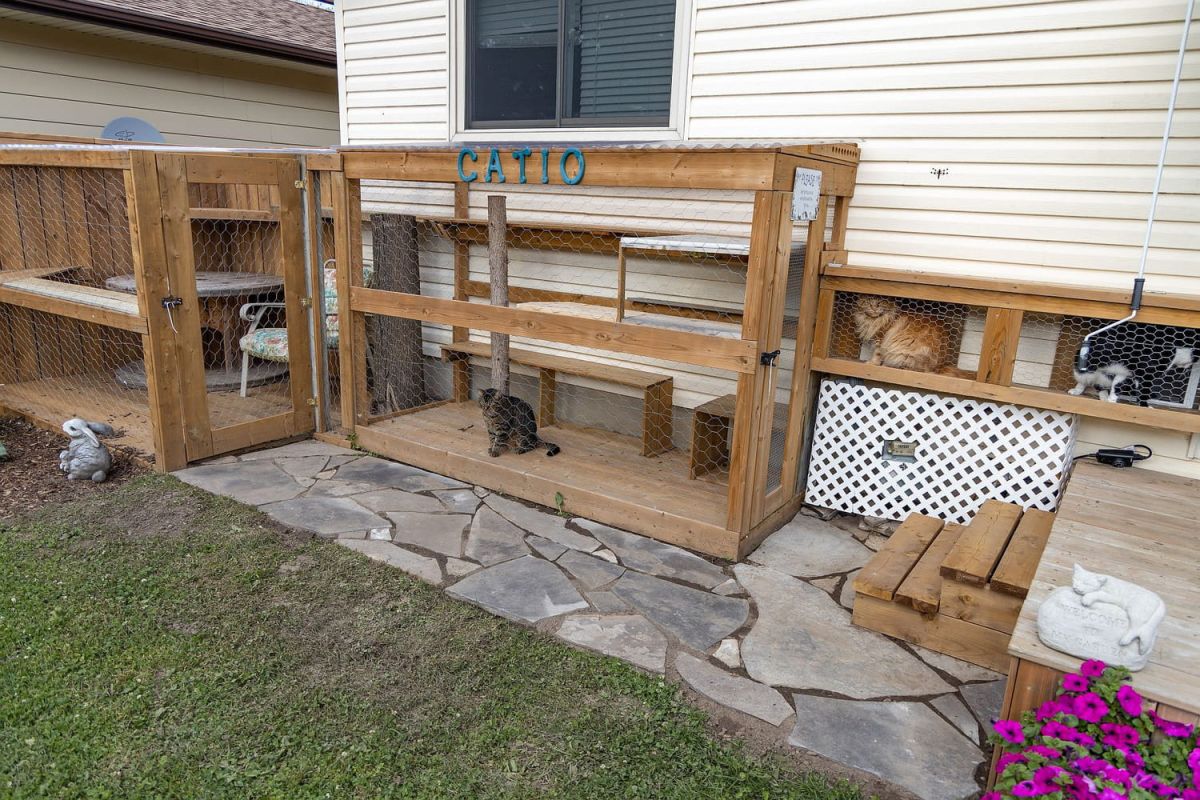 Découvrez le catio : un espace de liberté sécurisé pour votre chat