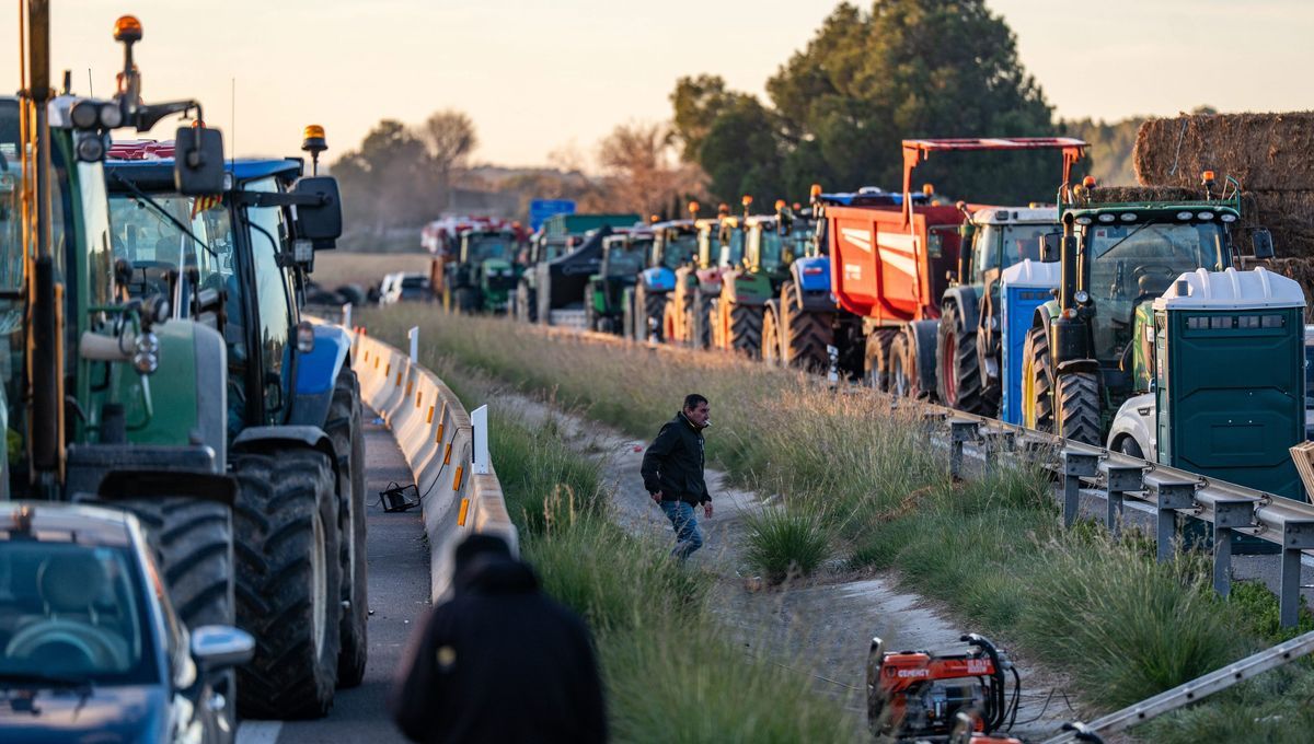 Des agriculteurs catalans paralysent l'autoroute Perpignan-Barcelone