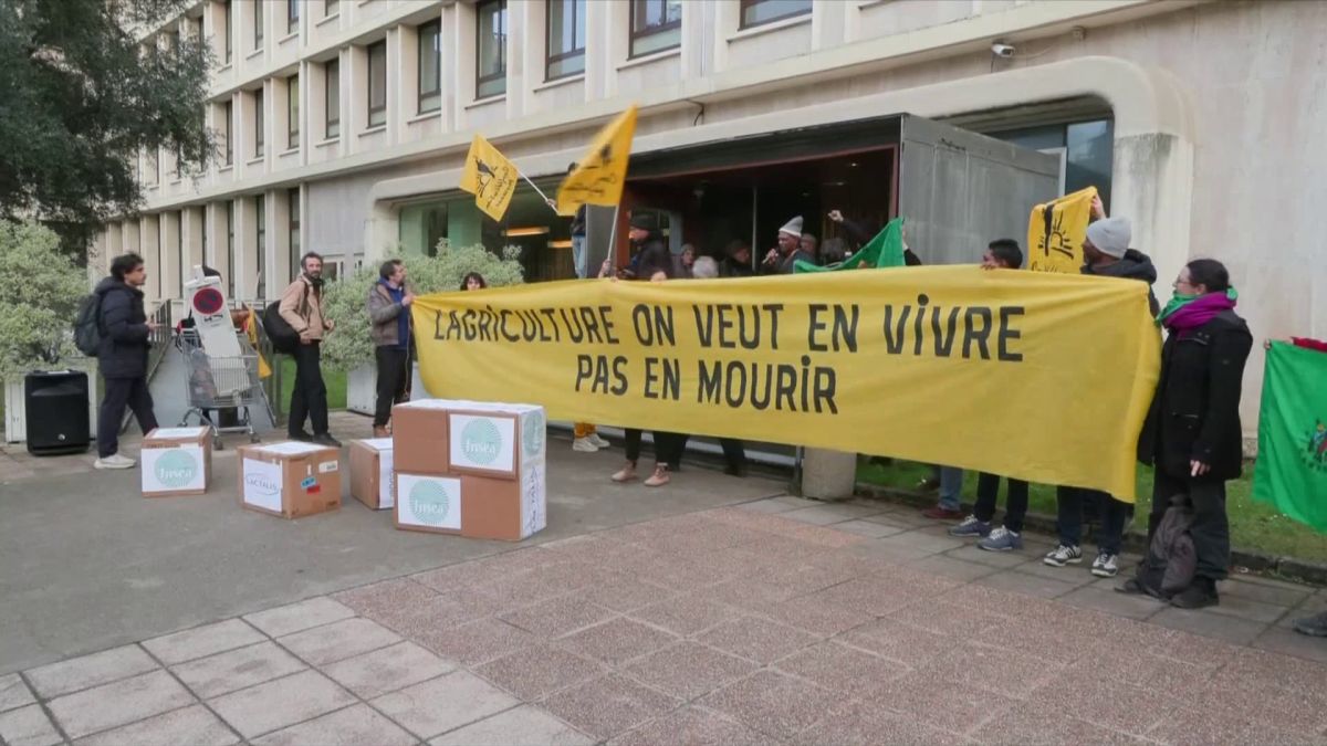 Des agriculteurs interpellent le ministère de l'Agriculture : un cri de détresse
