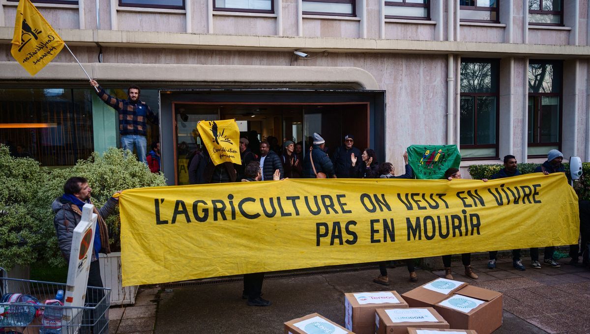 Les agriculteurs de la Confédération paysanne relâchés après leur garde à vue à Paris