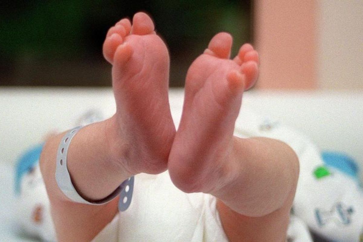 céréulide : une substance inquiétante dans les laits infantiles de Lactalis et Nestlé