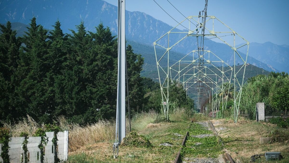 Le retour tant attendu des trains entre Perpignan et Villefranche-de-Conflent après un long arrêt