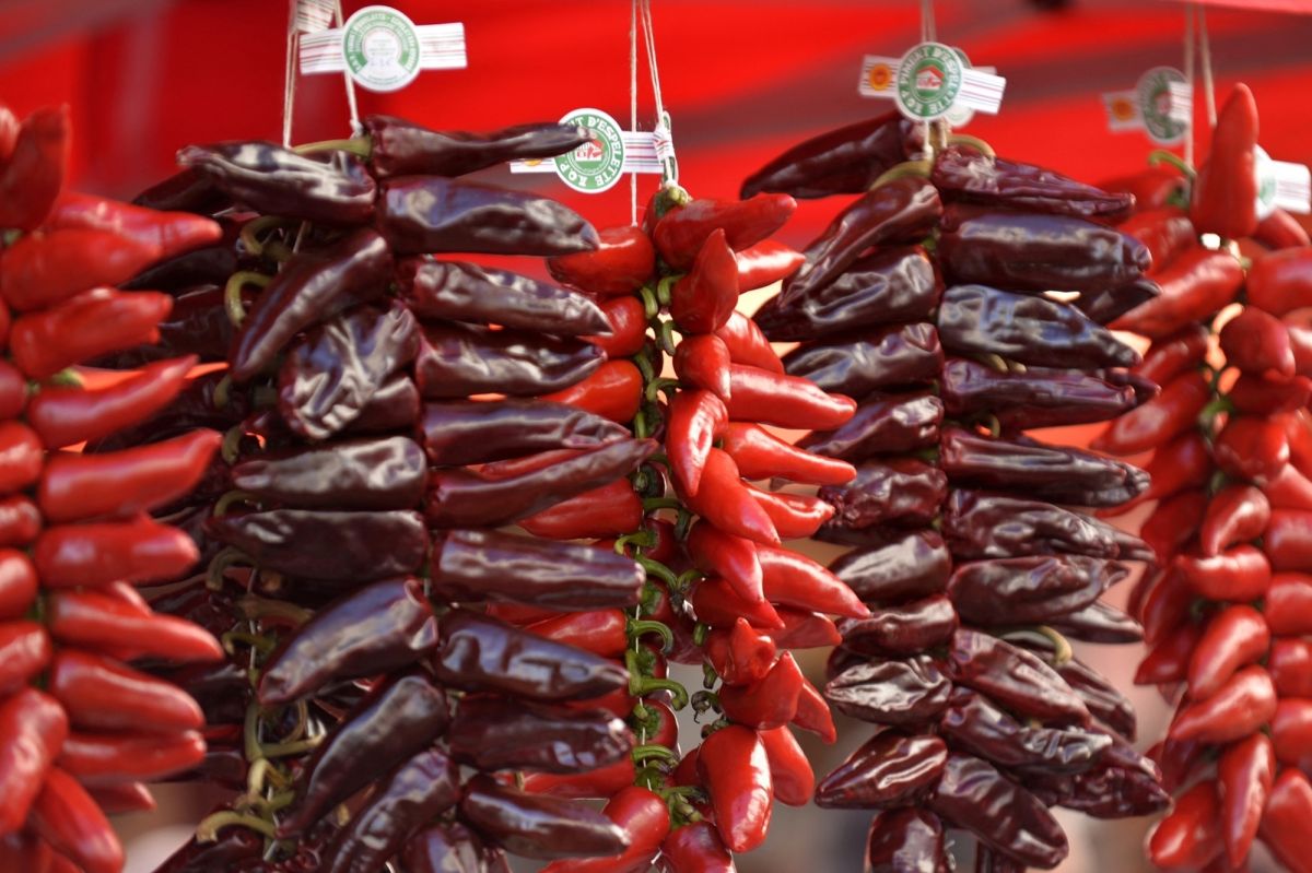 Piment d'Espelette : un trésor menacé par le climat