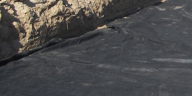 Tout savoir sur le feutre géotextile et son utilisation au jardin