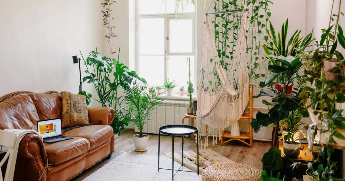 Des idées astucieuses pour sublimer vos plantes tombantes