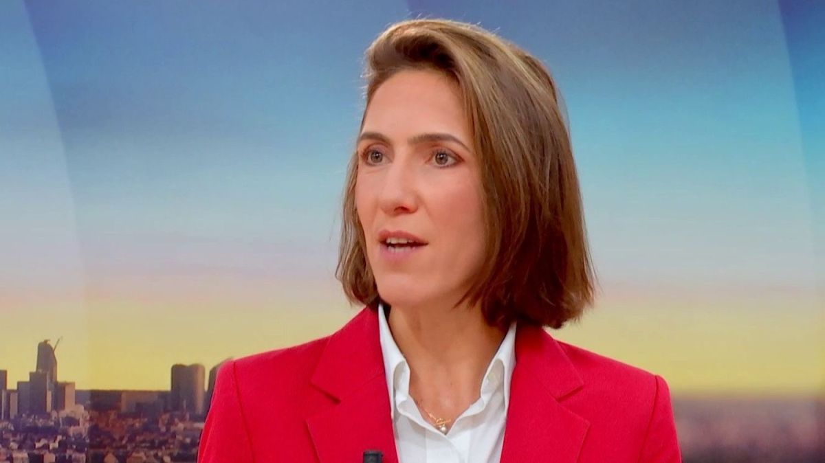 La politique de la terreur de Trump : Valérie Hayer dénonce l'abattage d'Alex Pretti