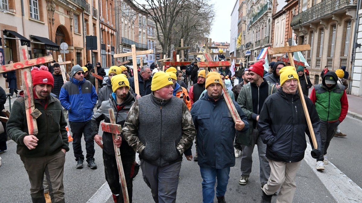 Colère des agriculteurs : mobilisation à Toulouse pour une juste reconnaissance