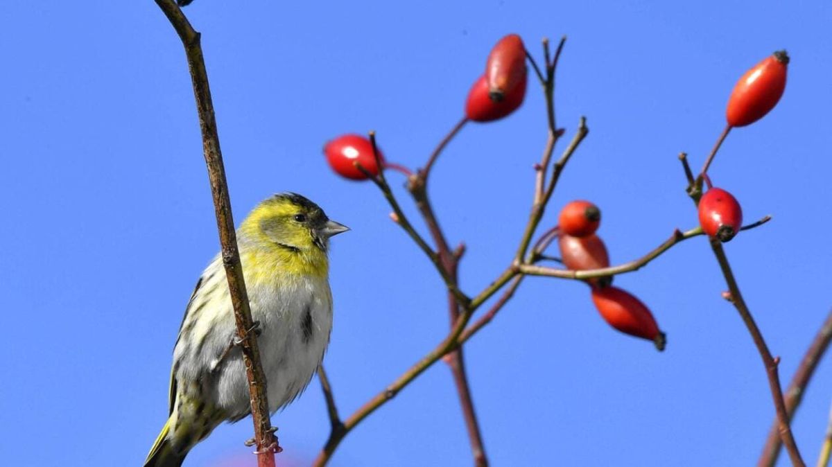 Un jeudi ensoleillé à Nouméa : prévisions météo du 29 janvier 2026