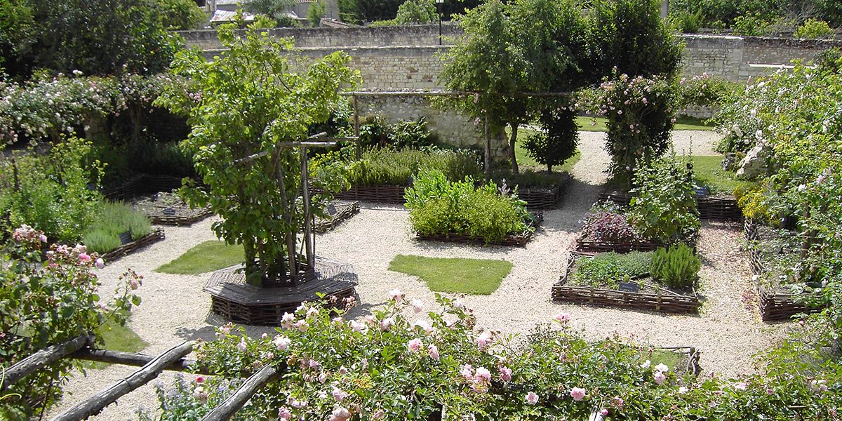 un voyage olfactif et historique au jardin médiéval de Loudun