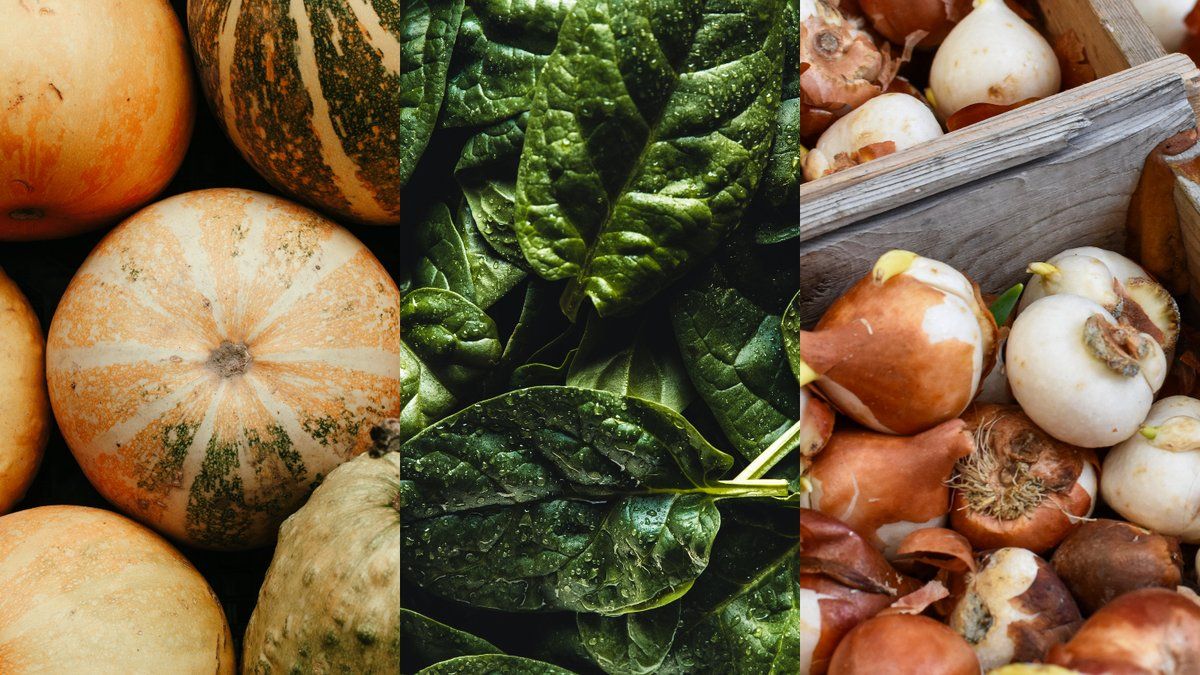 Les légumes d'hiver : attention aux dangers cachés