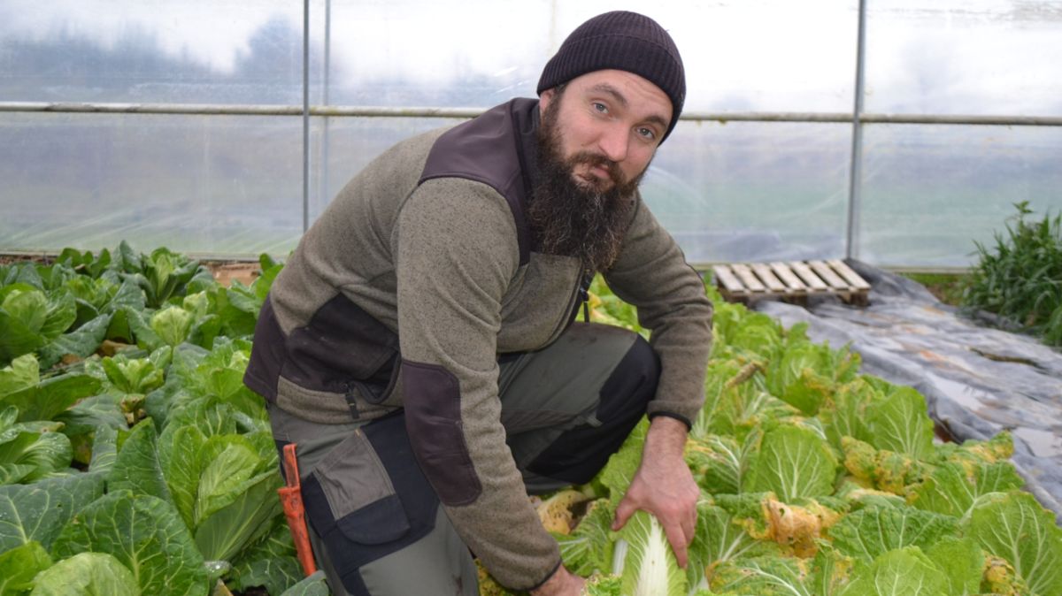 Quand un maraîcher se met au service des cantines scolaires à Chambray-lès-Tours