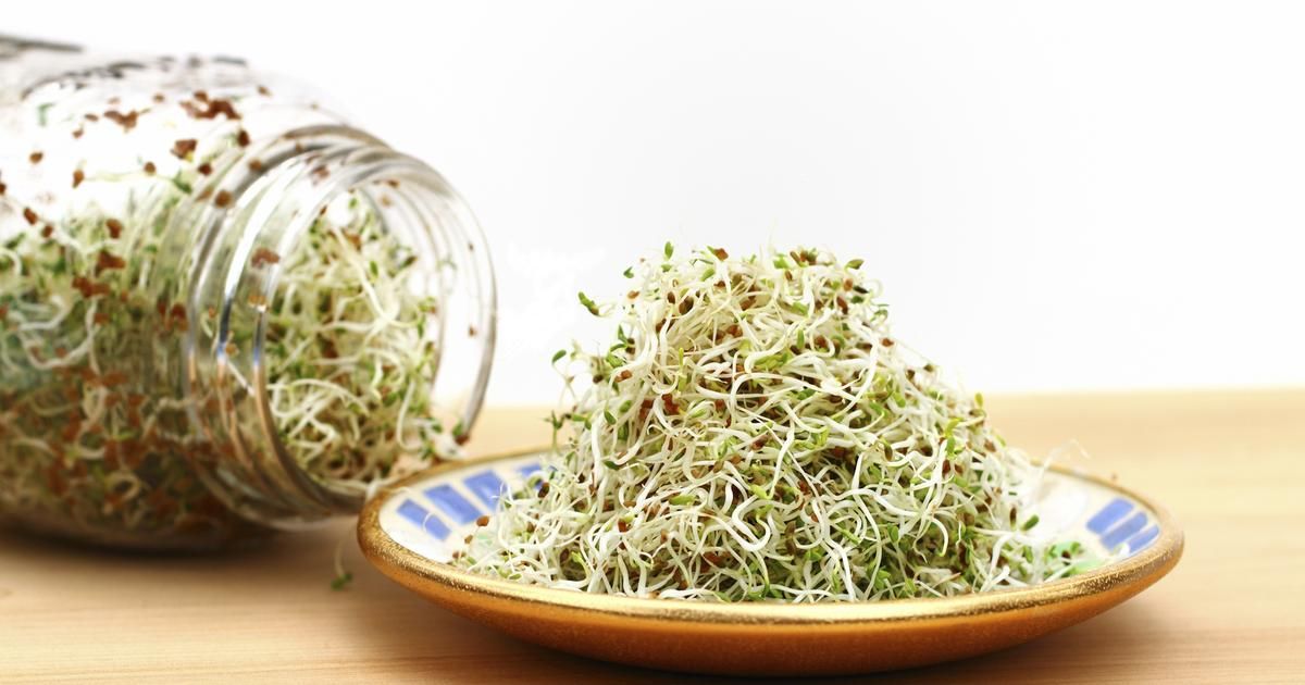 Graines germées maison : le mode d'emploi pour se lancer