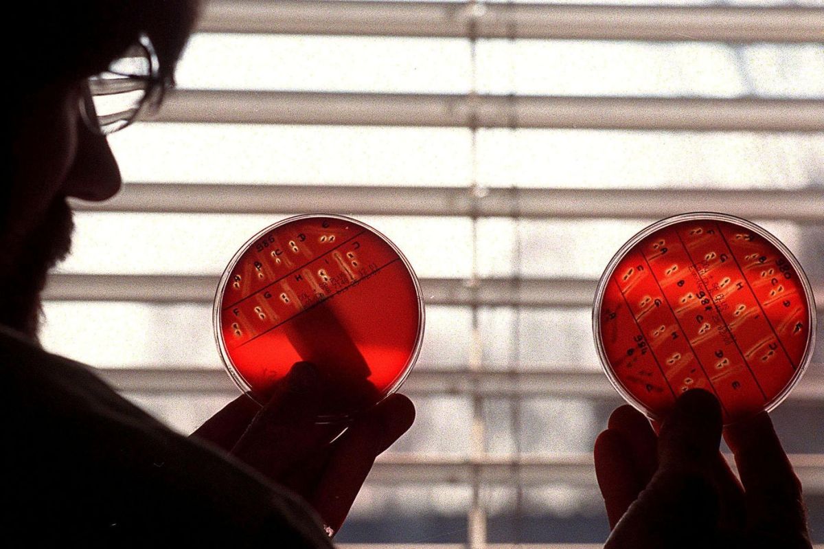 Listériose : une enquête judiciaire bouleverse le secteur de la charcuterie