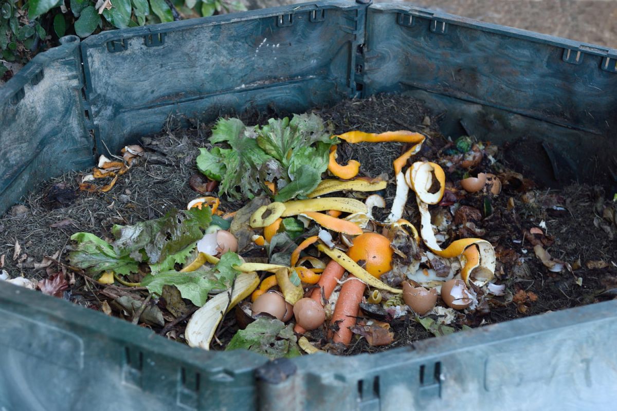 Quels déchets mettre au compost ?
