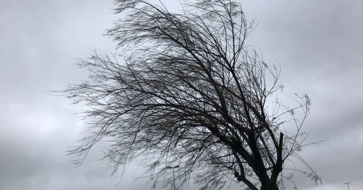 Vigilance jaune : vents violents attendus dans l'Hérault