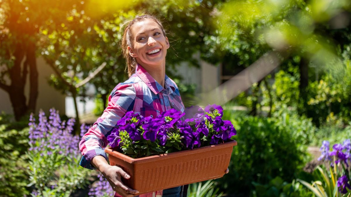 Le printemps en jardinage : conseils d'expert pour un jardin florissant