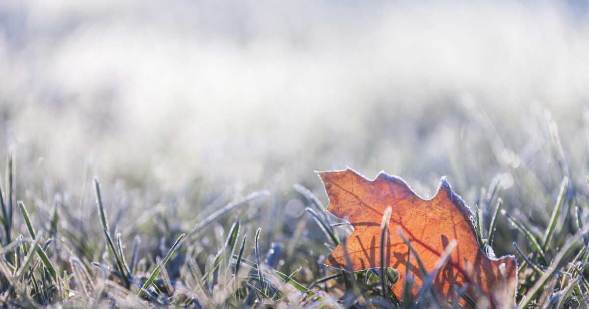 Les saints de glace : mieux vaut rester prudent au jardin