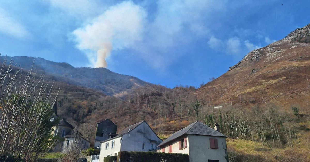 Une agricultrice partiellement relaxée après un incident d'écobuage à Asson