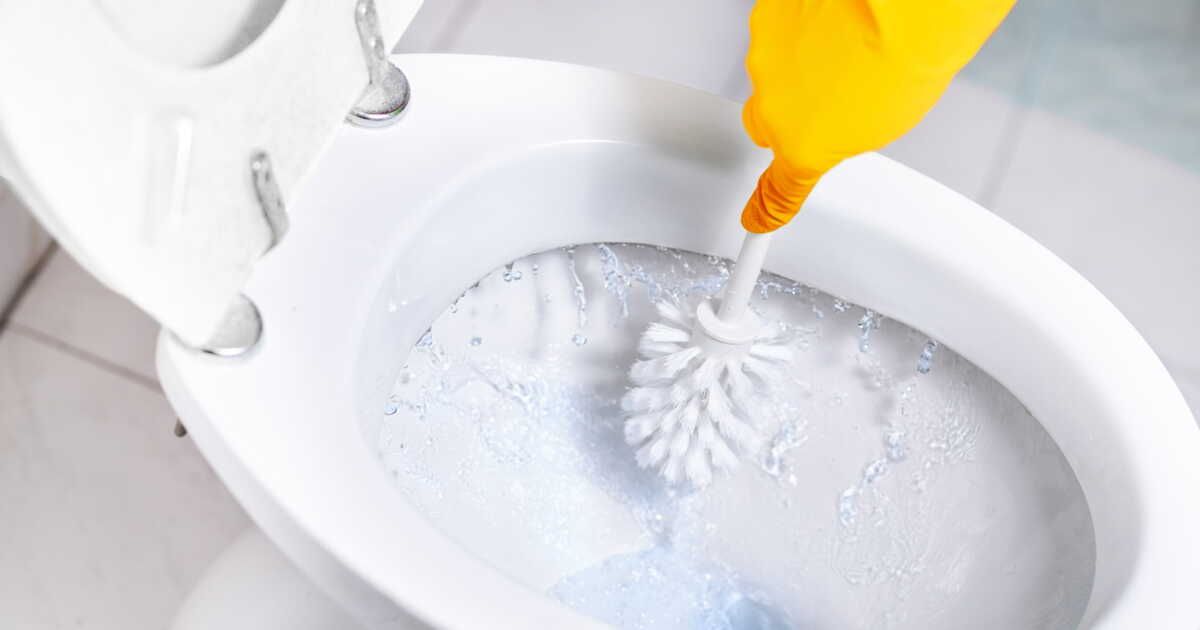 Les secrets d'une brosse de toilettes impeccable