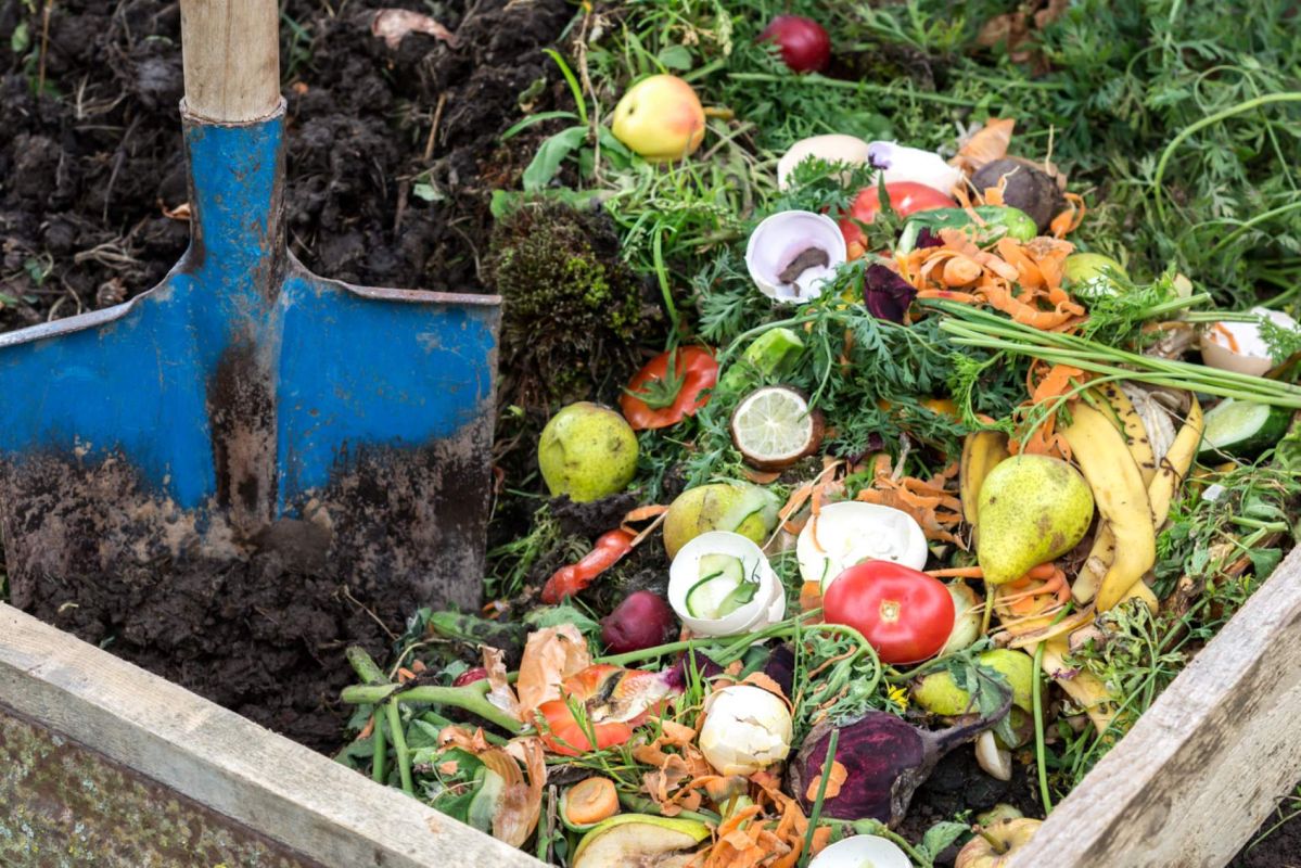 Préparer vos sols pour un printemps luxuriant : le compost, allié indispensable