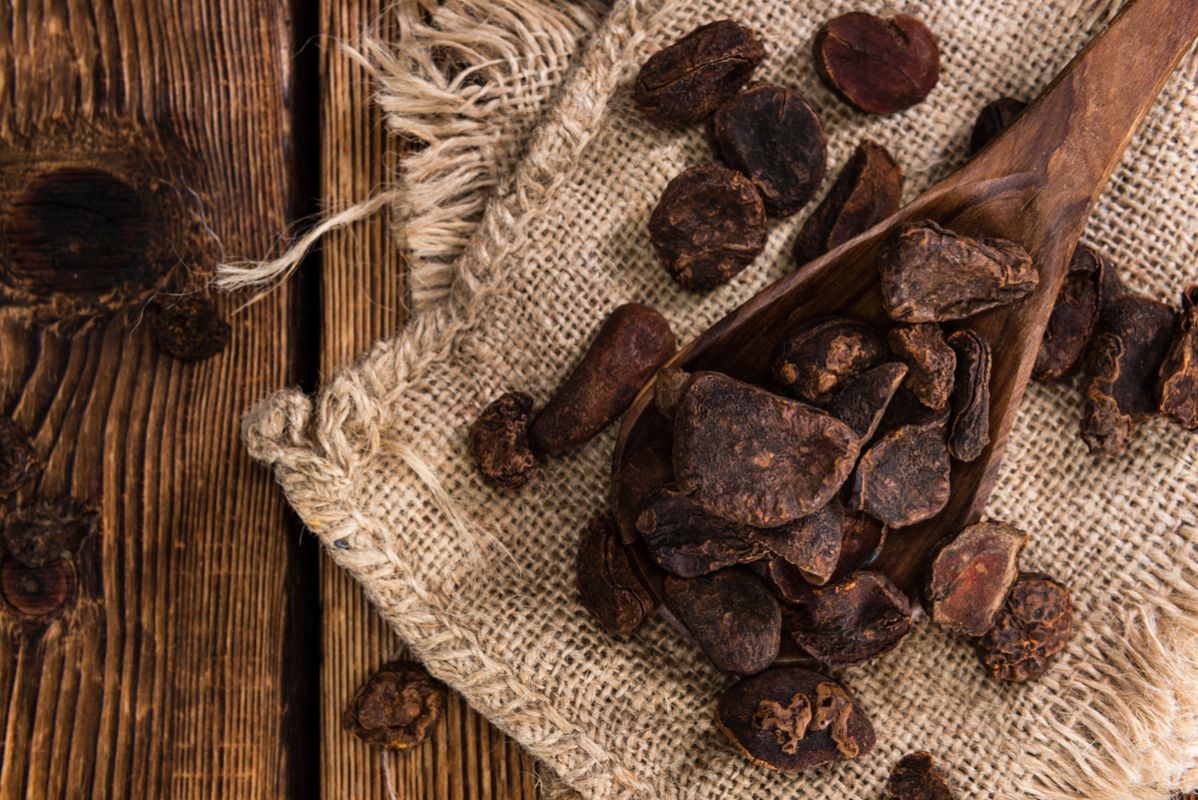 découvrez les secrets et bienfaits de la noix de cola, un stimulant naturel