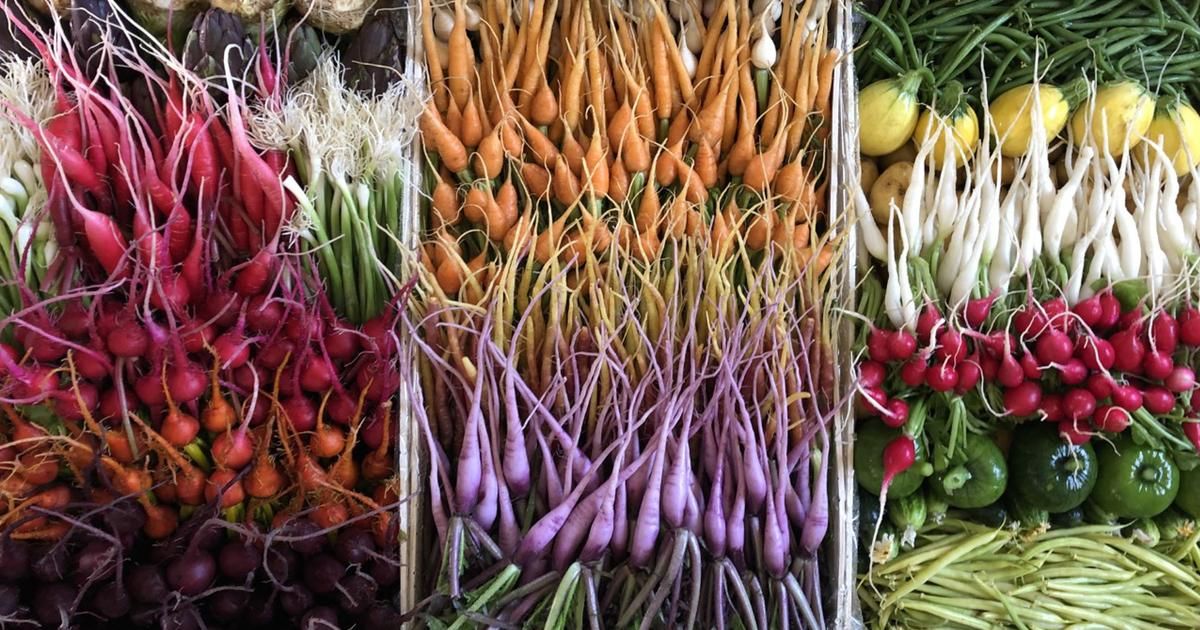 les mini-légumes, nouvelles coqueluches des réseaux sociaux