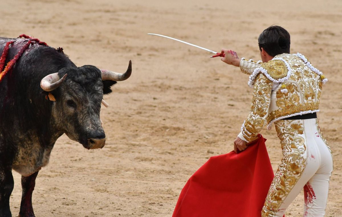 Un drame à Malaga : un ancien matador perd la vie lors des préparatifs d'une corrida