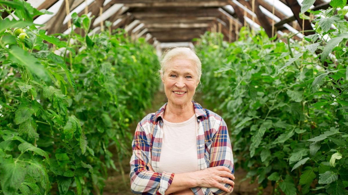 Une hausse des petites retraites pour les conjoints d'agriculteurs en 2022