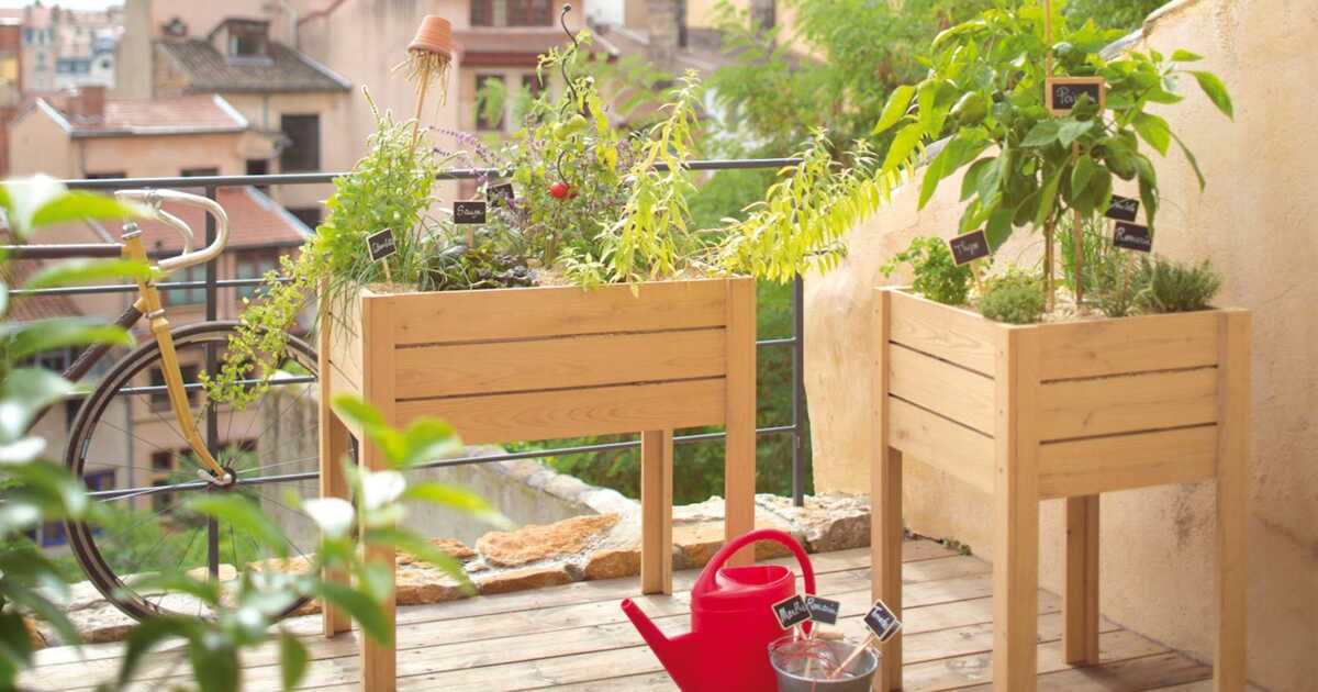 Cultivez votre jardin urbain : le mini potager sur balcon
