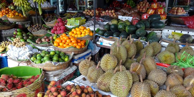 Découverte des merveilles tropicales : fruits et légumes ensoleillés