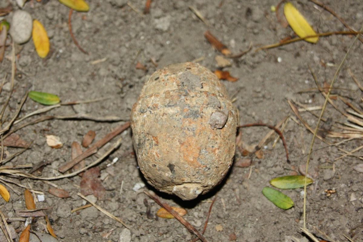 Découverte inquiétante à Montpellier : une grenade retrouvée dans un jardin familial