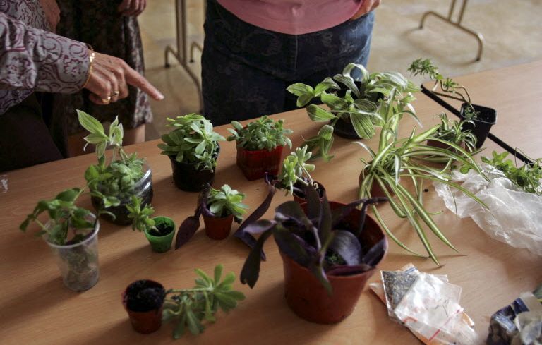 Les belles histoires qui naissent sur Leboncoin