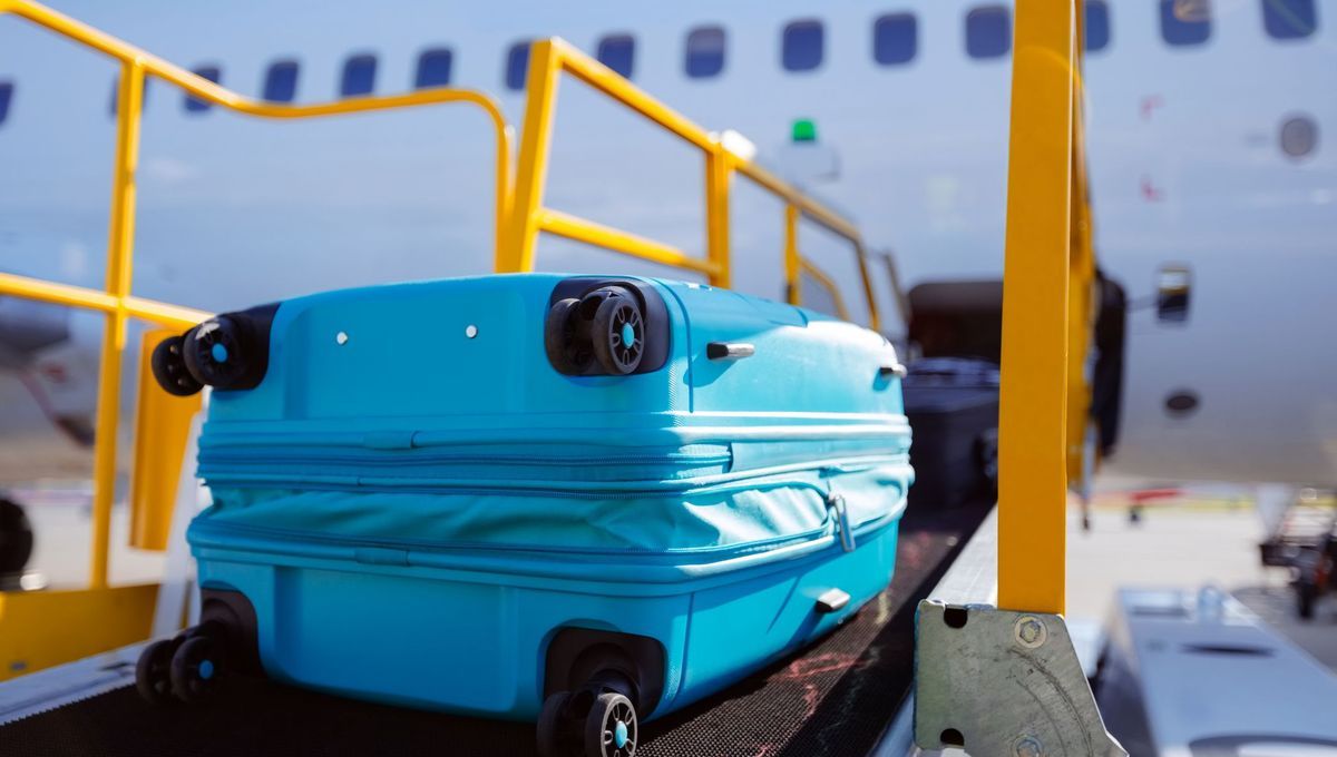 Le voyage secret d'une valise : comment elle rejoint l'avion
