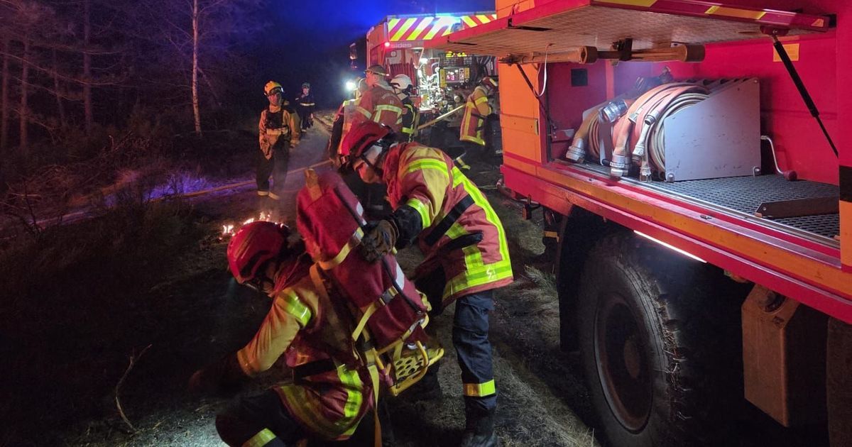Incendie en Lozère : l'écobuage, une pratique dangereuse sous le feu des critiques