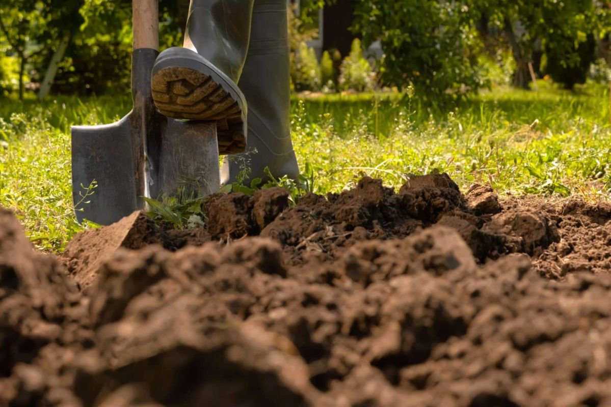 Transformez votre sol en un terrain fertile en quelques jours grâce à cette méthode secrète