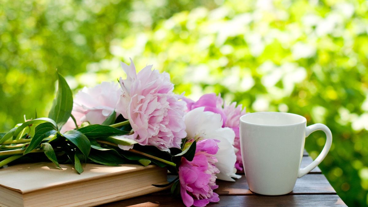 Des livres pour fleurir votre jardin et partager vos passions