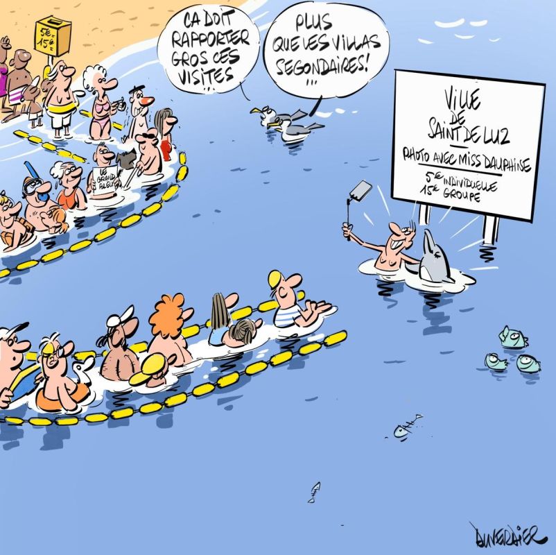 Au cœur des Brouillarta : un printemps célébré sous le signe des dauphins et des élections