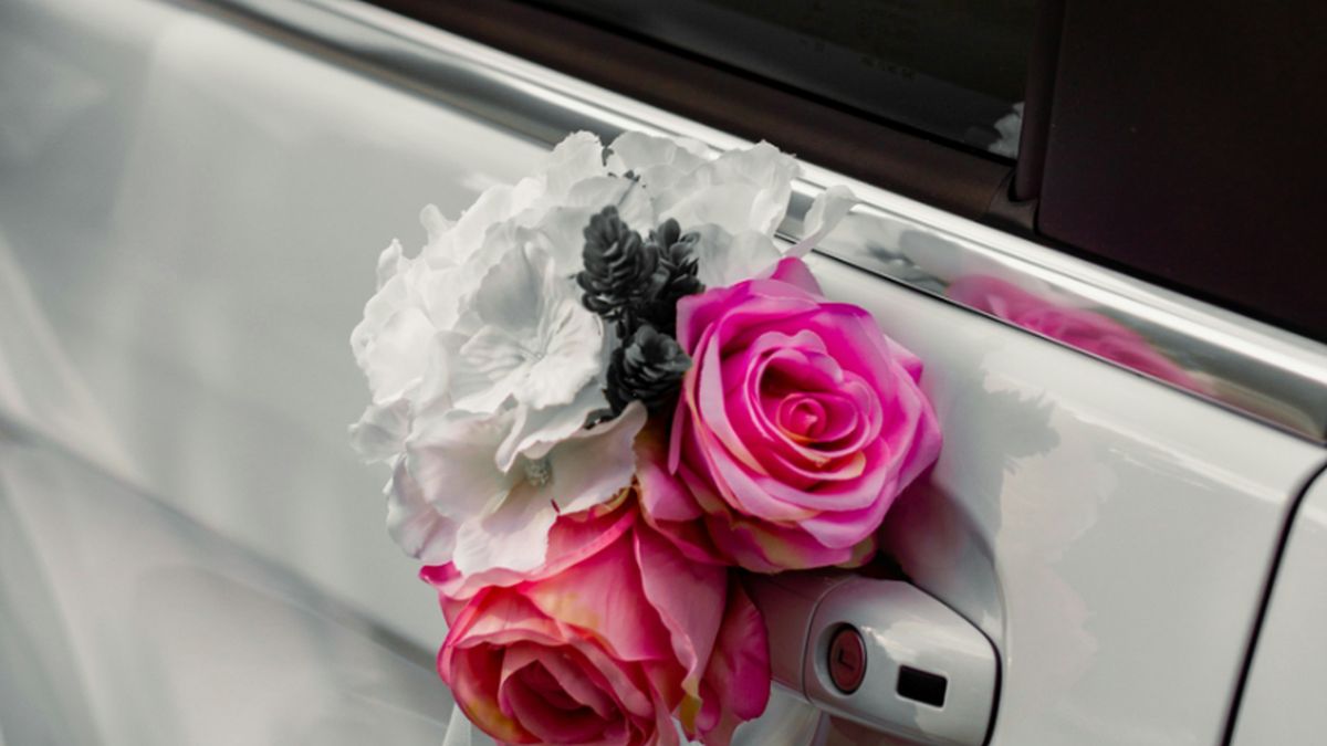 Incident lors d'un mariage à Montpellier : le cortège de véhicules stoppé par la mairie