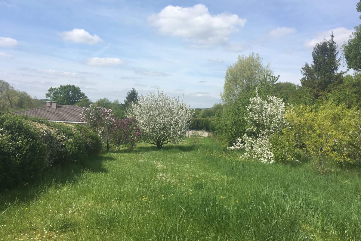 Comment tondre son gazon de façon éco-responsable ?