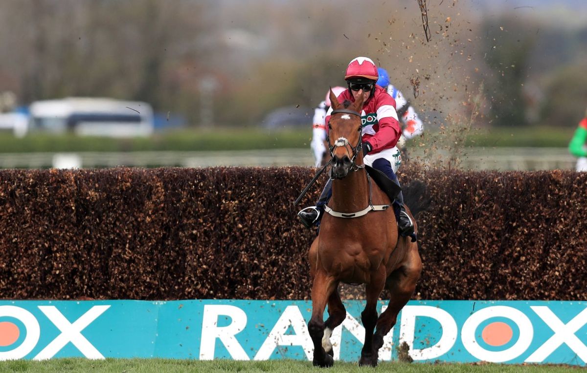 Un cheval héroïque remporte la course avant un tragique dénouement