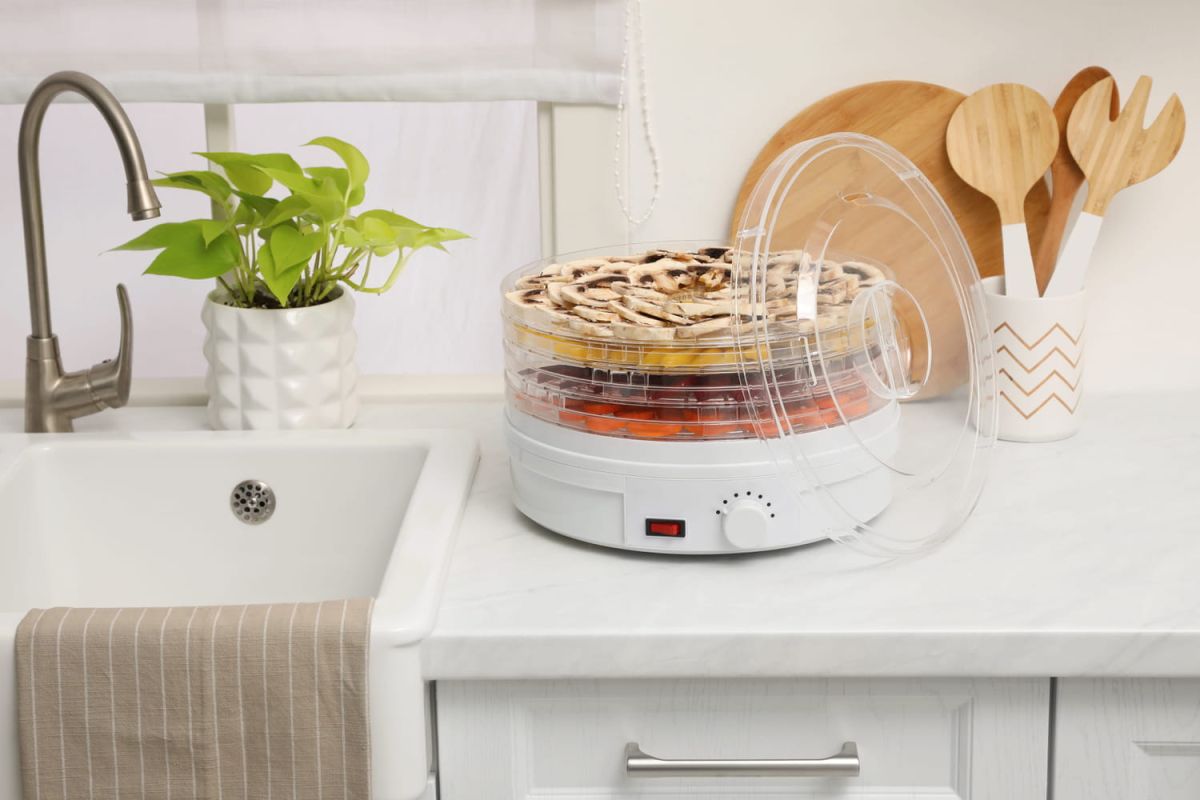Déshydrateur alimentaire : comment et pourquoi utiliser cet ustensile ?