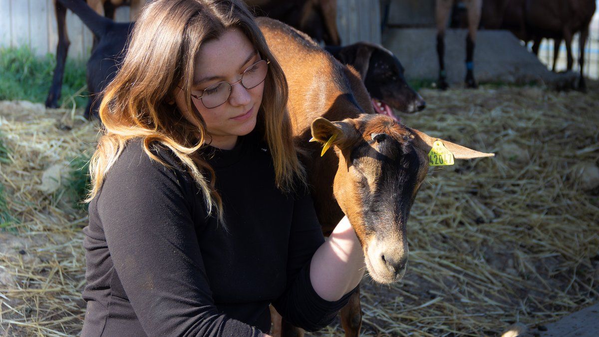 Léa : une jeune éleveuse déterminée sauve une ferme caprine en pleine campagne