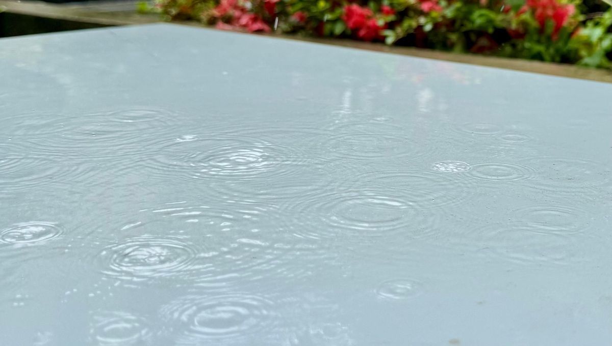 La météo déconcertante : entre pluie et records à répétition