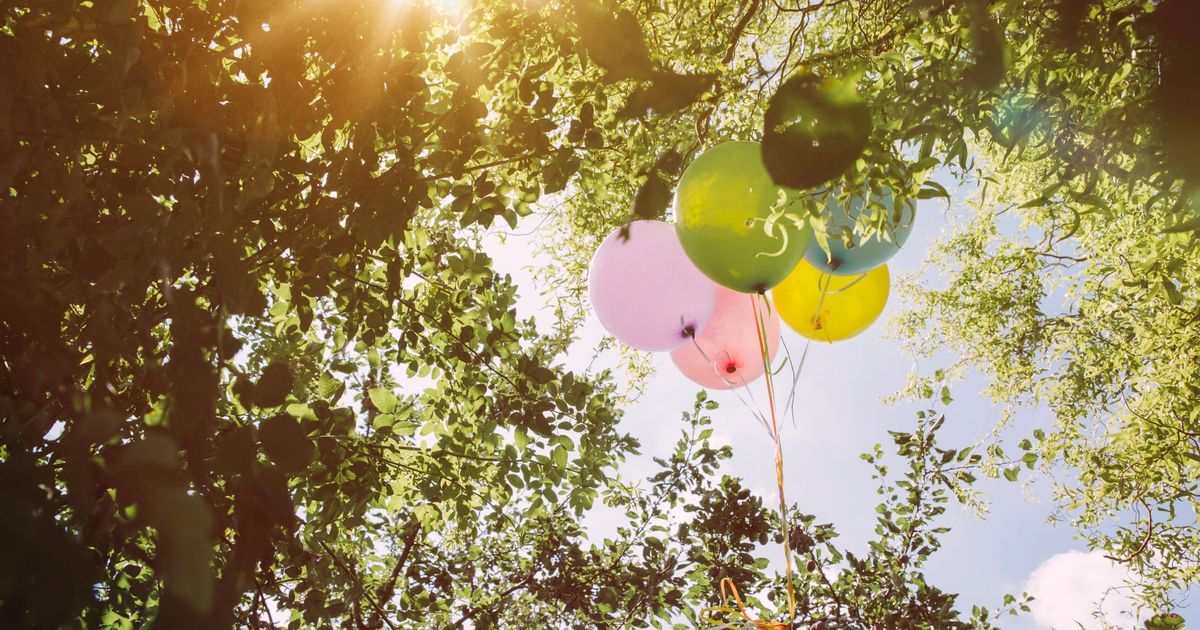 Fête de la Nature à Perpignan : une journée mémorable au Parc Sant Vicens