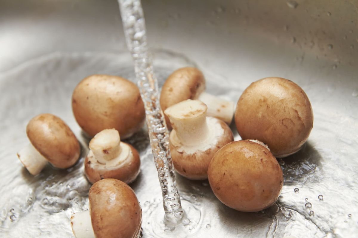 les secrets des chefs pour un goût unique : dites non au lavage des champignons de paris