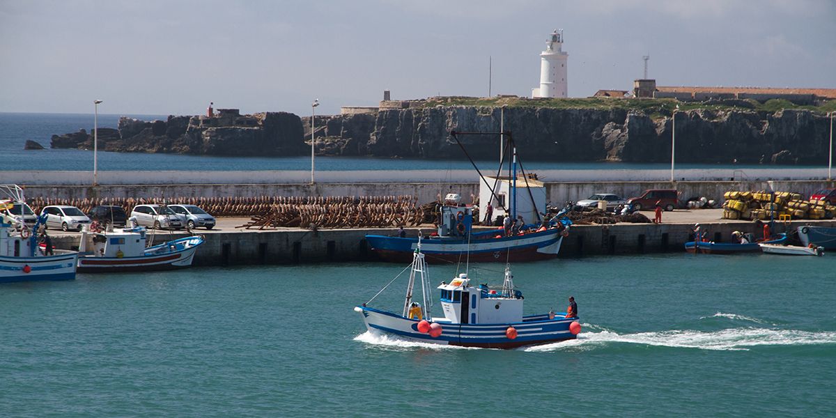 Acheter du poisson durable : les clés d'un choix éclairé